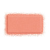 Artist Face Color