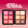FACE & CHEEK CREAM PALETTE #2 12