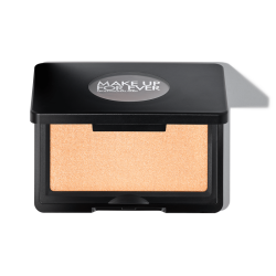 ARTIST HIGHLIGHTER H1 0