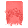 ARTIST BLUSH B  0