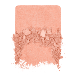 ARTIST BLUSH B  0