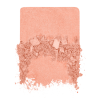 ARTIST BLUSH B  0